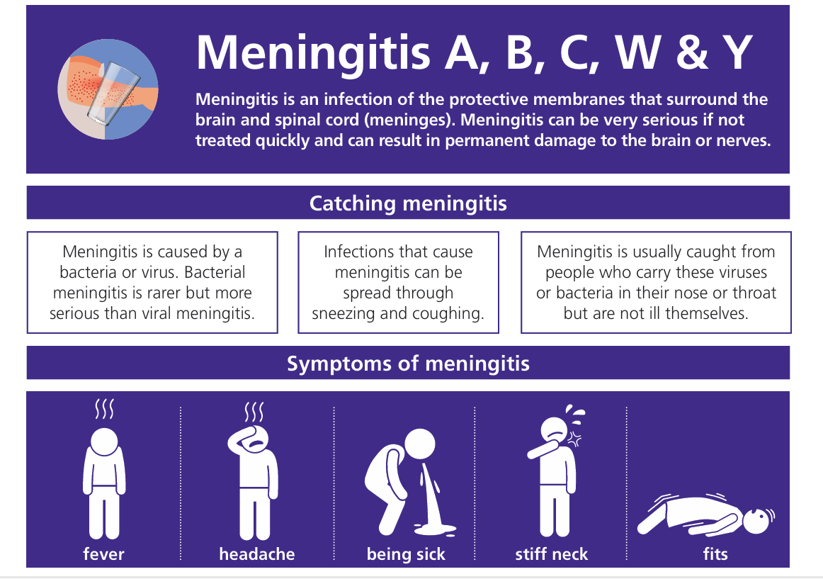 Meningitis information following Kent outbreak