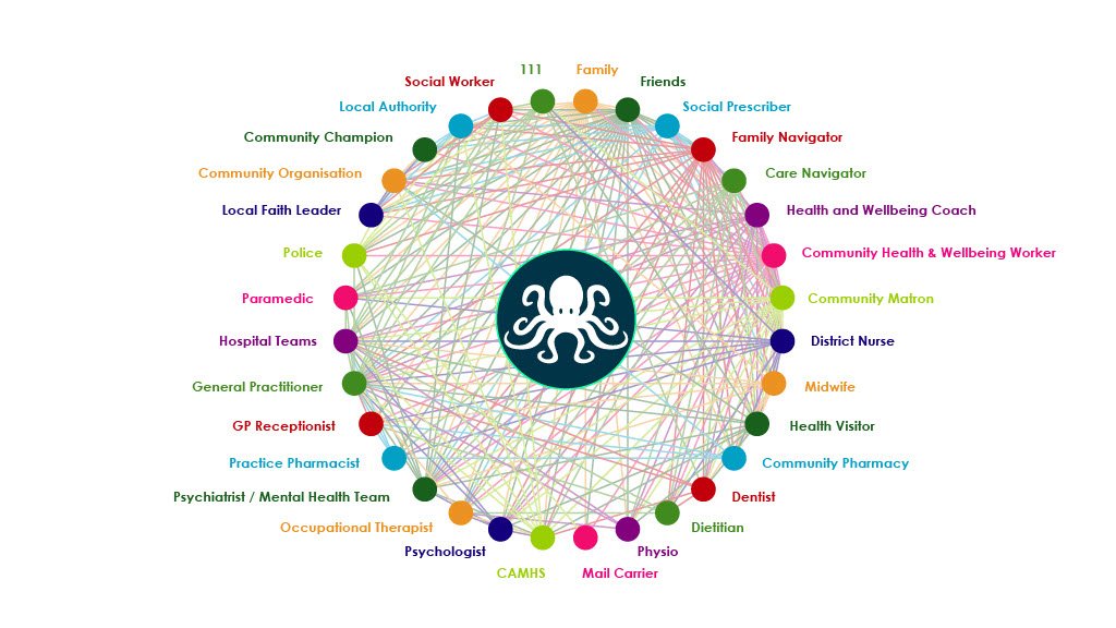 Octopus chord diagram
